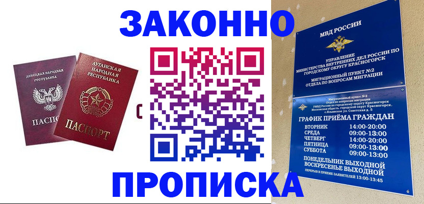 прописка в Борзе